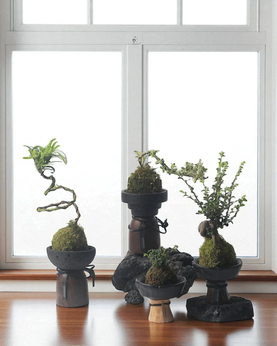 Obsidian Planters