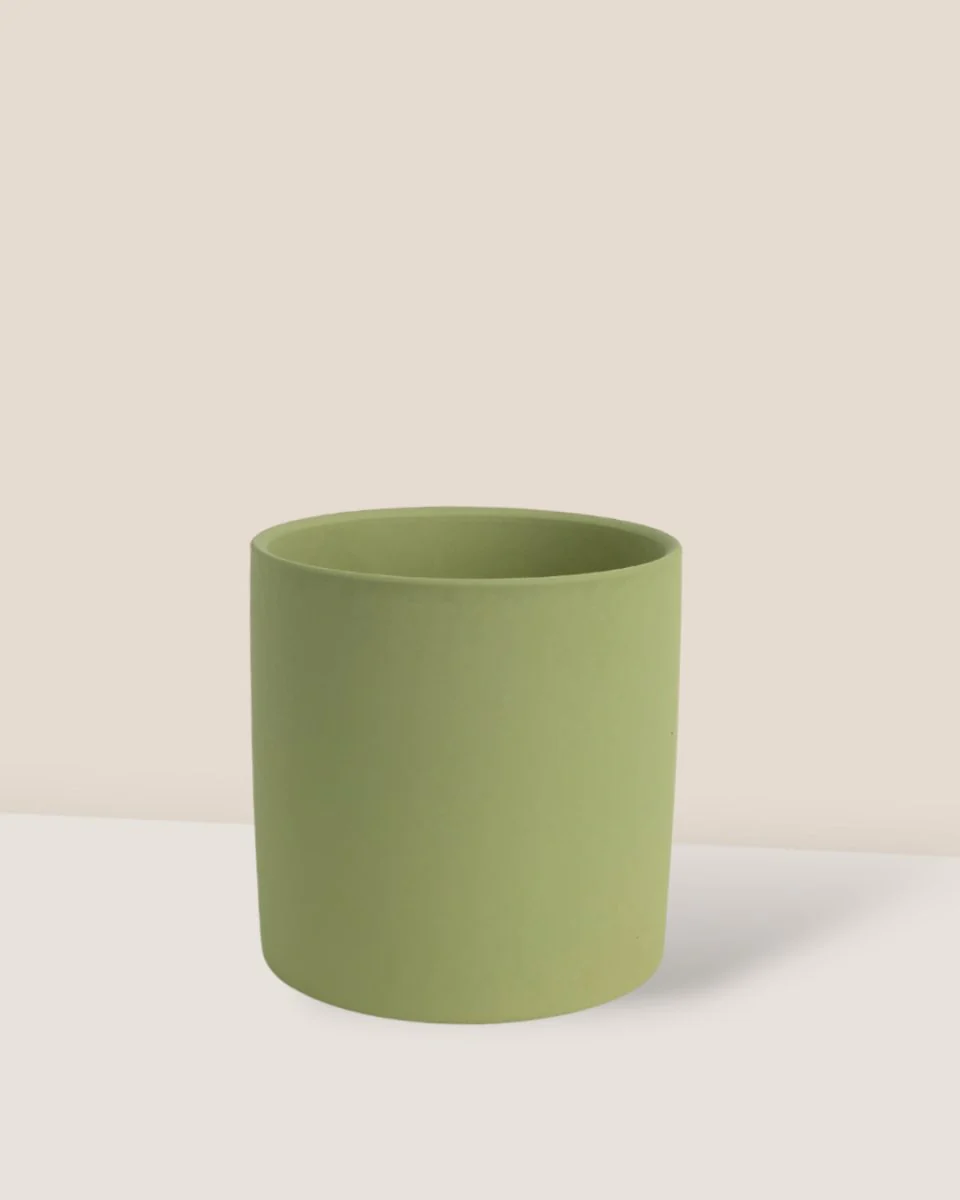 Olive Bloom Ceramic Pot - Image 2