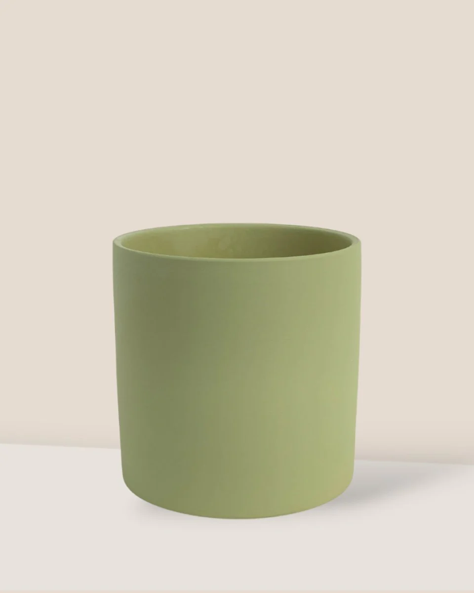 Olive Bloom Ceramic Pot - Image 3