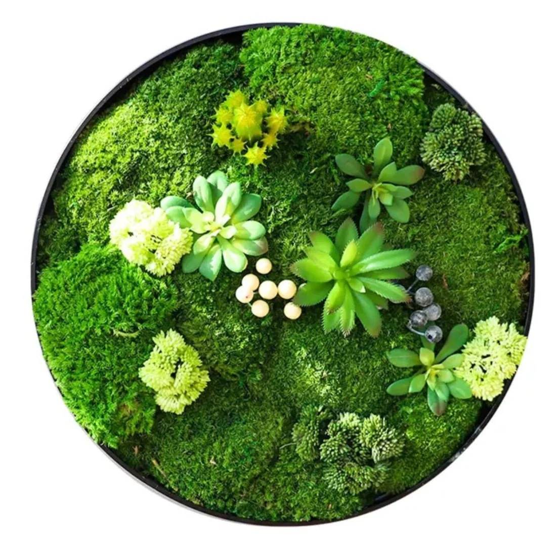 Orb Green - Preserved Plants: MOSS. - Image 13