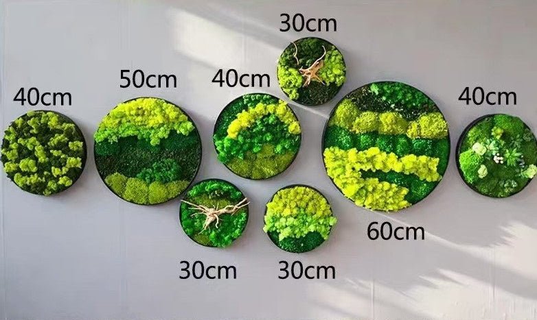 Orb Green - Preserved Plants: MOSS. - Image 3