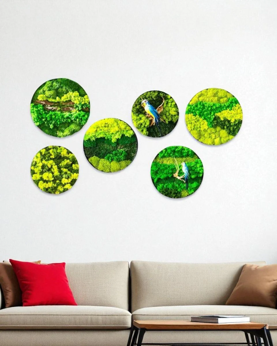 Orb Green - Preserved Plants: MOSS. - Image 4