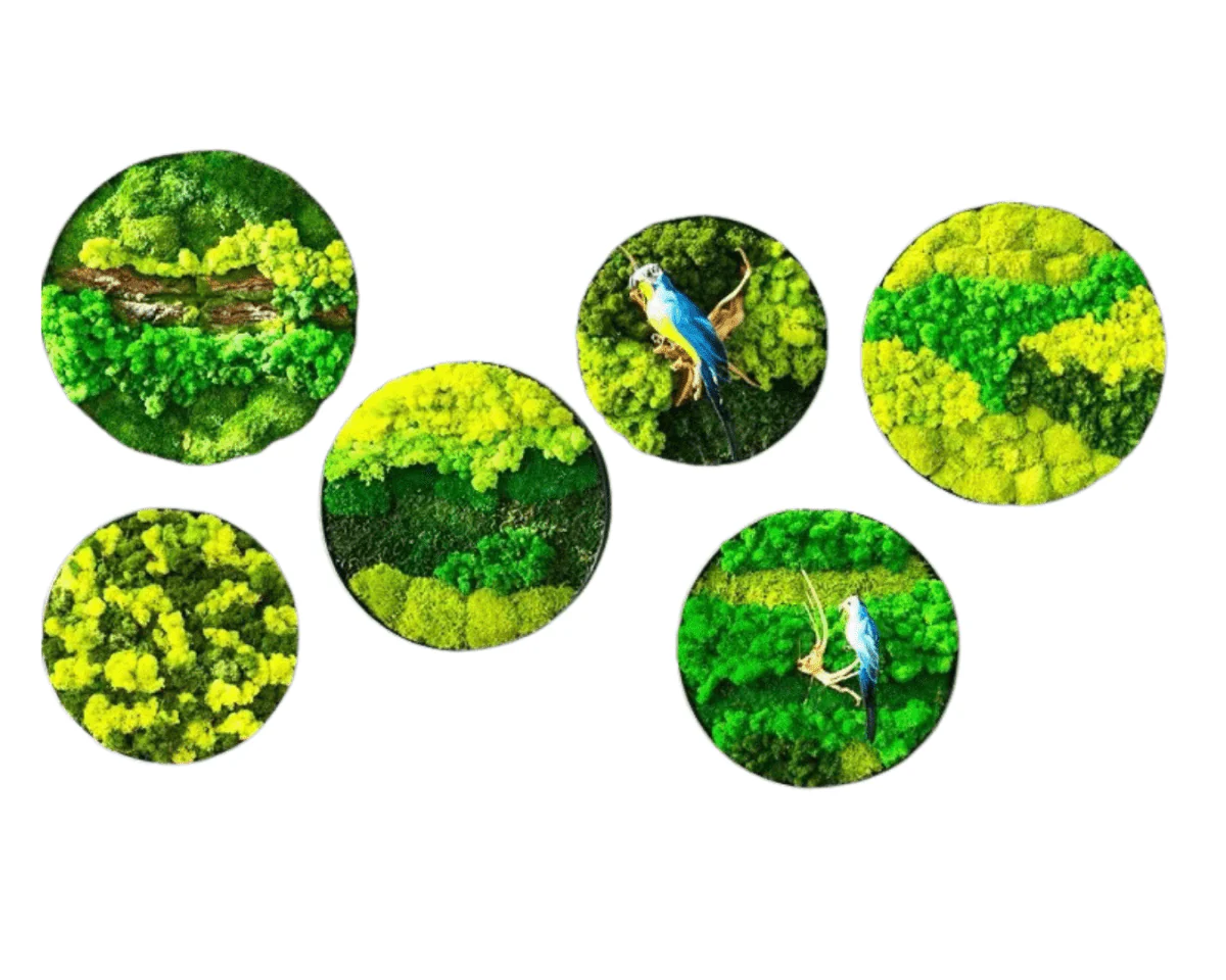 Orb Green - Preserved Plants: MOSS. - Image 6