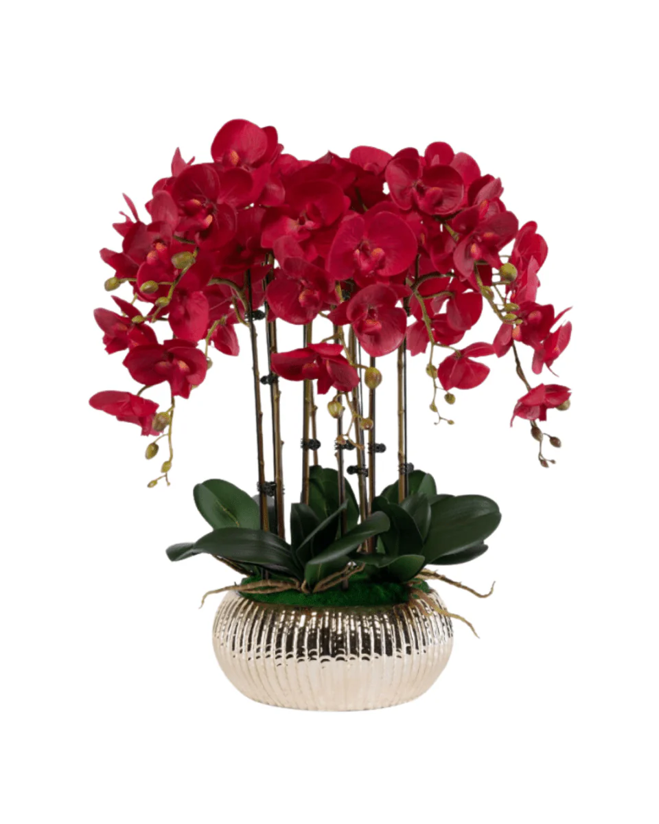 Orchid Arrangement (Life-like Artificial) - Image 11