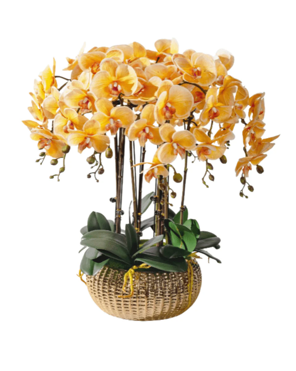 Orchid Arrangement (Life-like Artificial) - Image 3