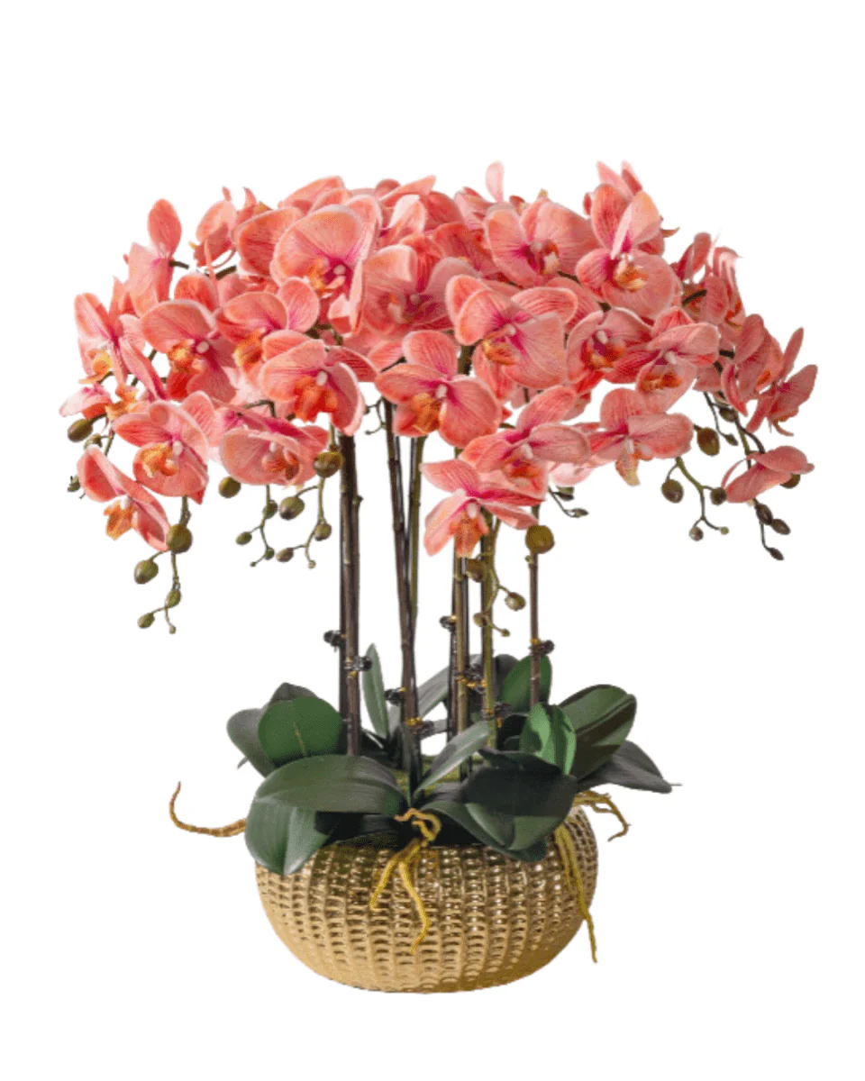 Orchid Arrangement (Life-like Artificial) - Image 5