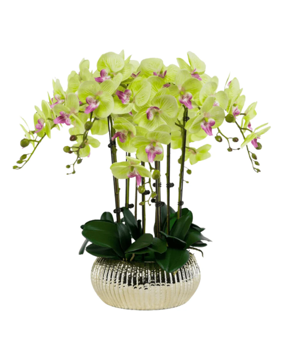 Orchid Arrangement (Life-like Artificial) - Image 8