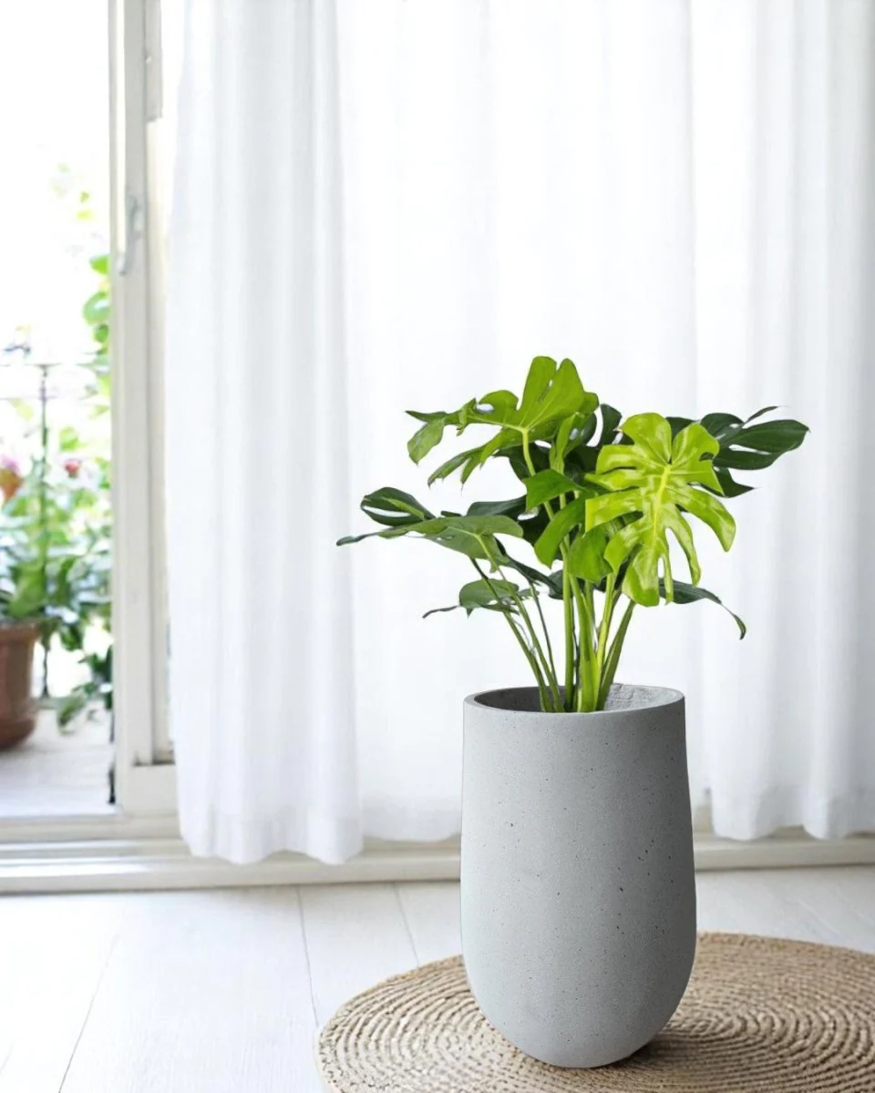 Ovalo Planter L - Image 2