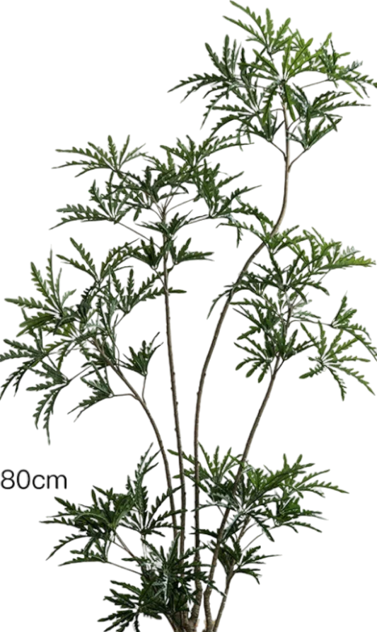 Peacock Plant (Life-like Artificial) - Image 6