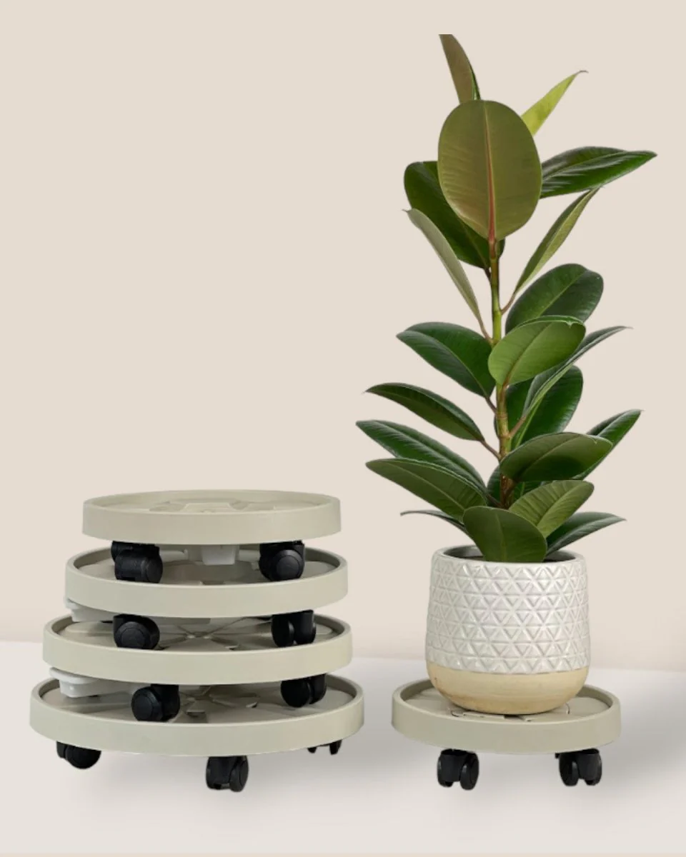 Plant Tray Trolley (Cream) - Image 2