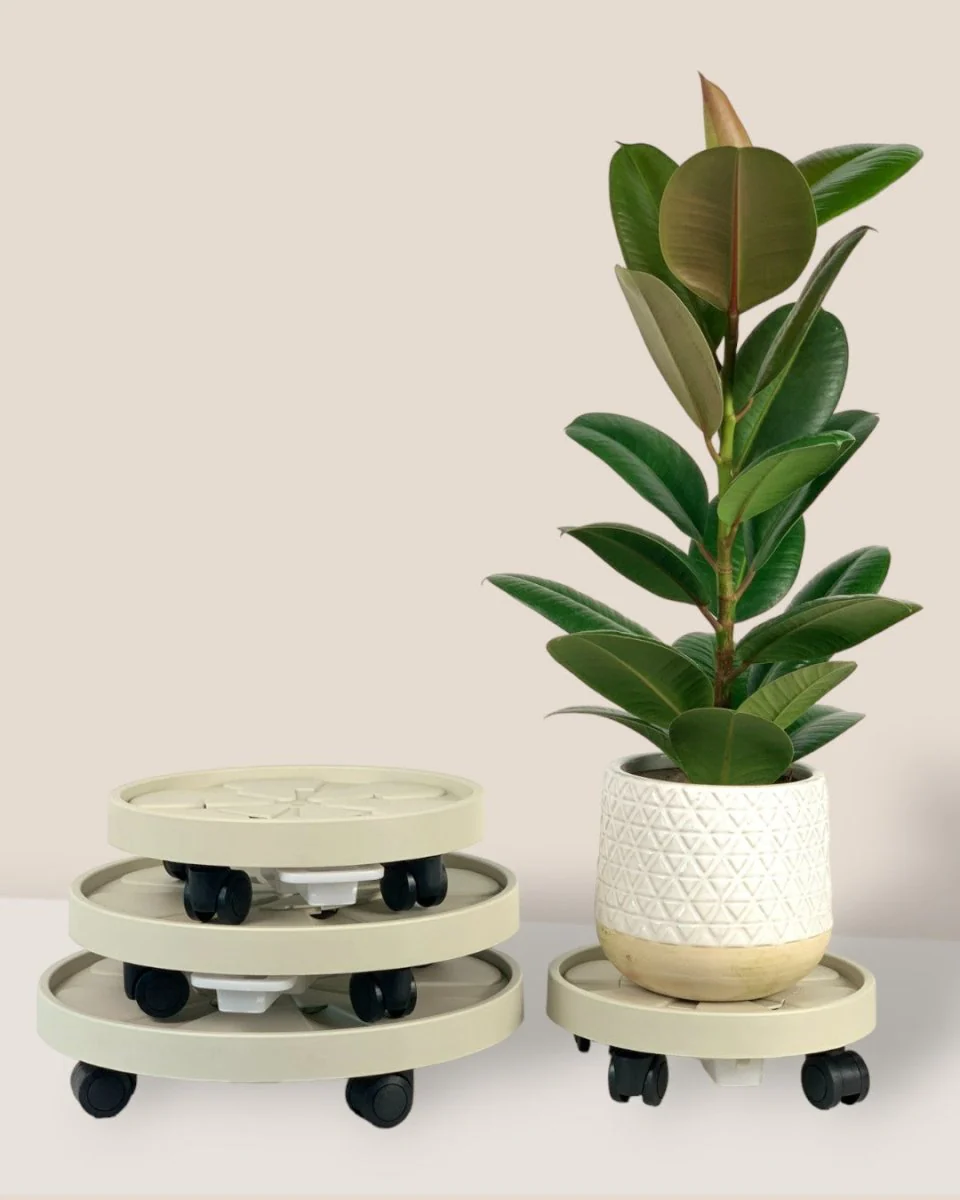 Plant Tray Trolley (Cream) - Image 3