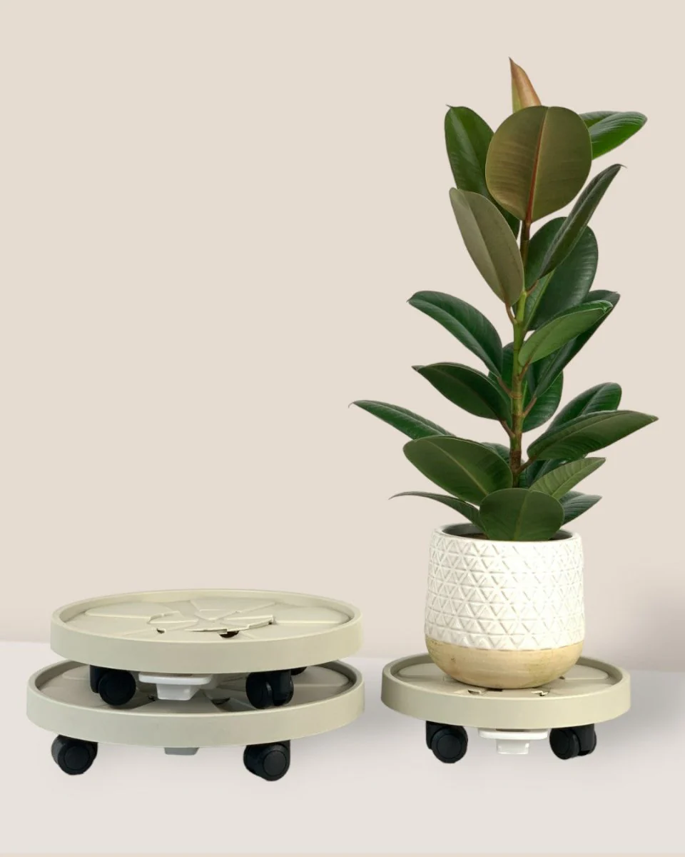 Plant Tray Trolley (Cream) - Image 4