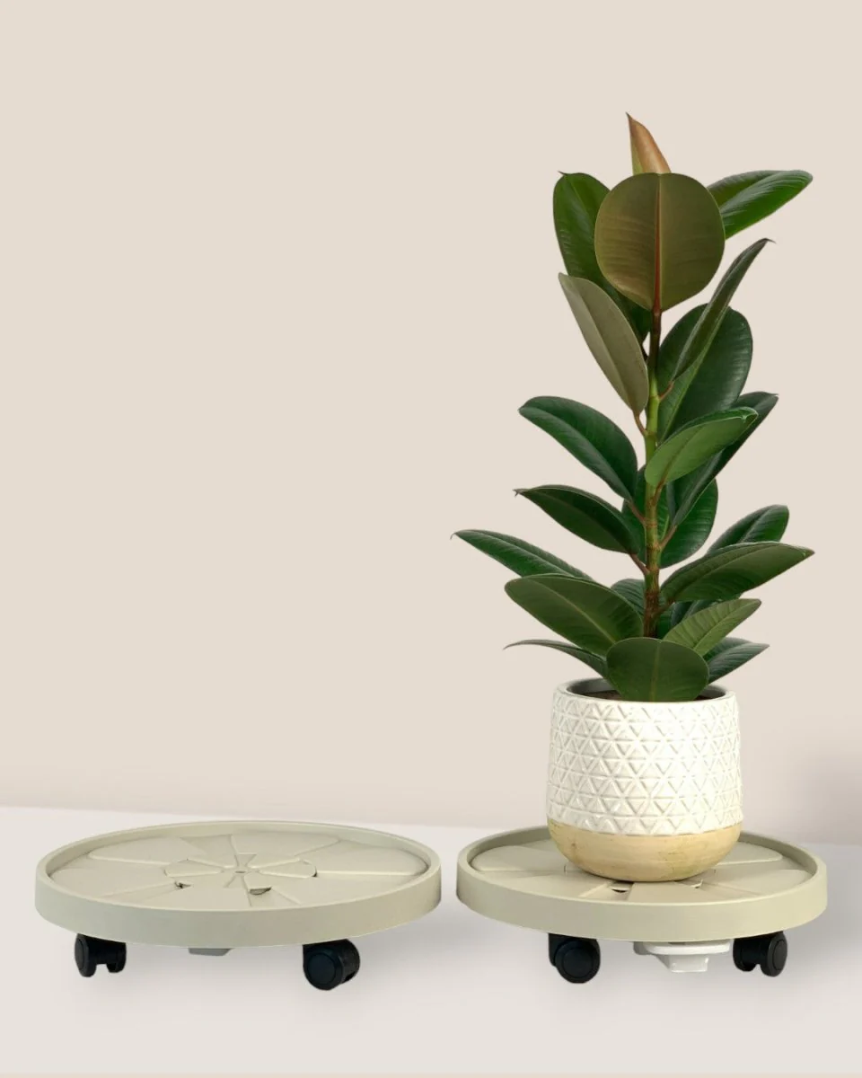 Plant Tray Trolley (Cream) - Image 5
