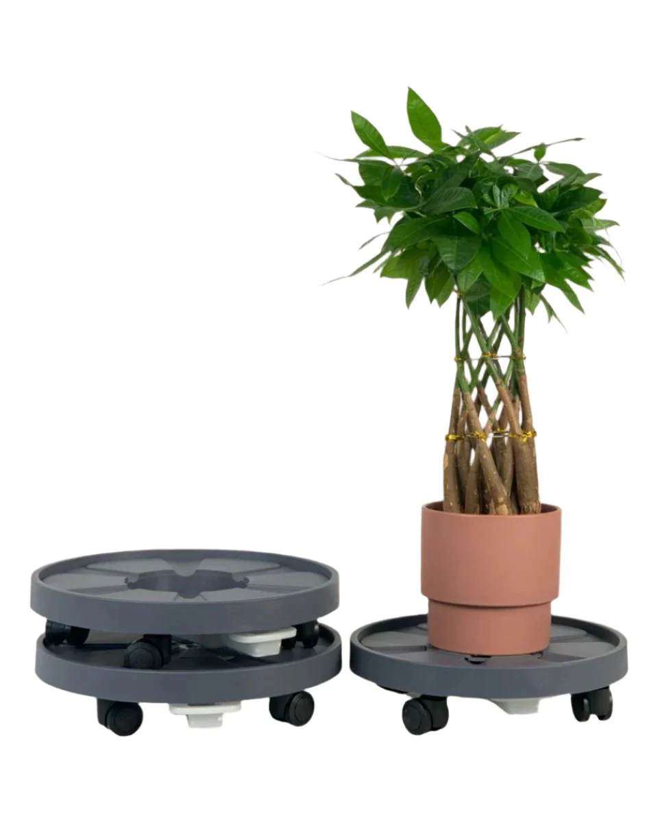 Plant Tray Trolley (Gray) - Image 11