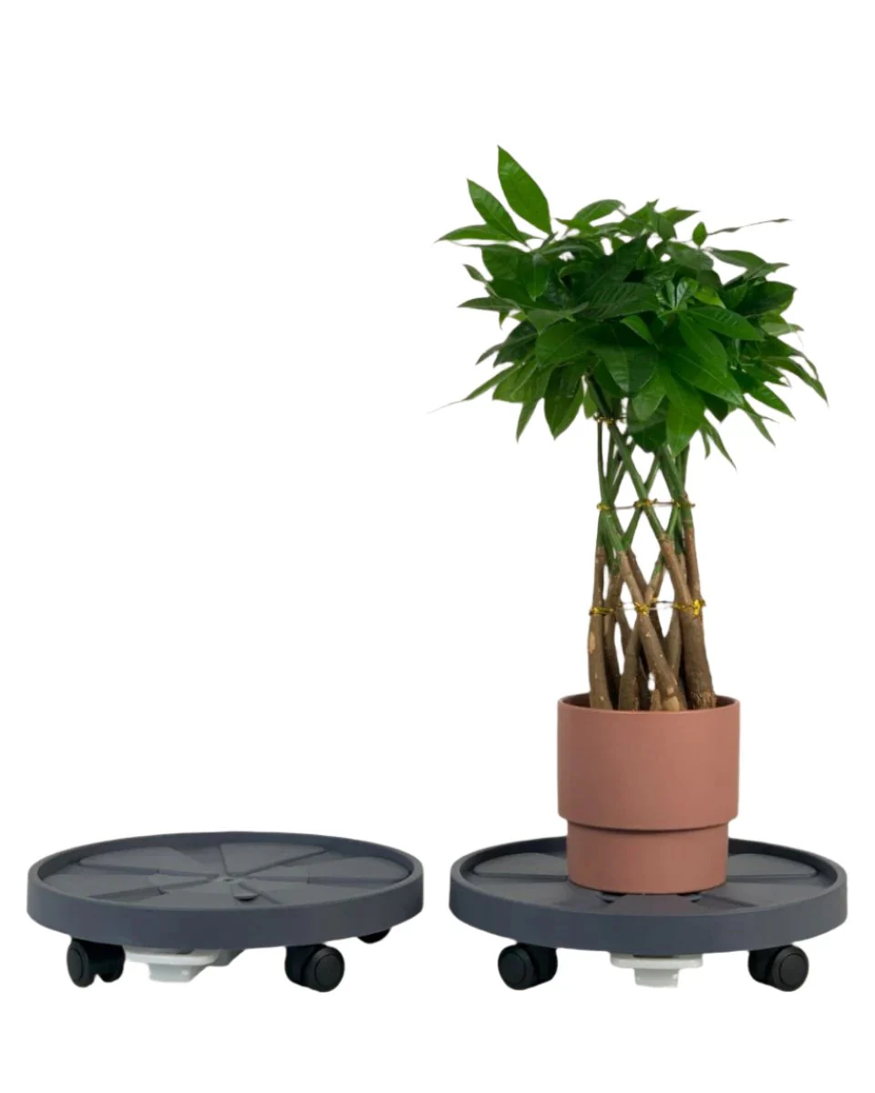 Plant Tray Trolley (Gray) - Image 12