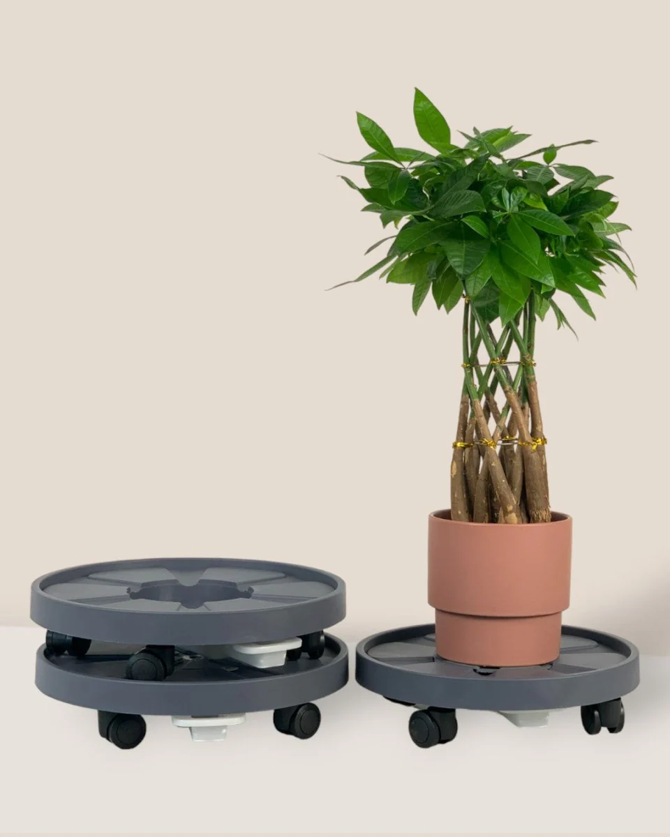 Plant Tray Trolley (Gray) - Image 4