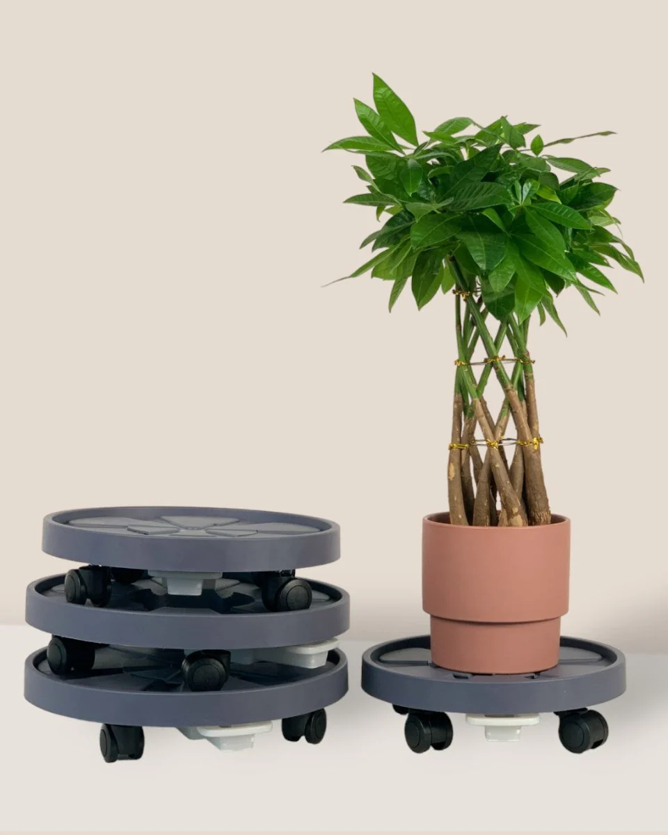 Plant Tray Trolley (Gray) - Image 5