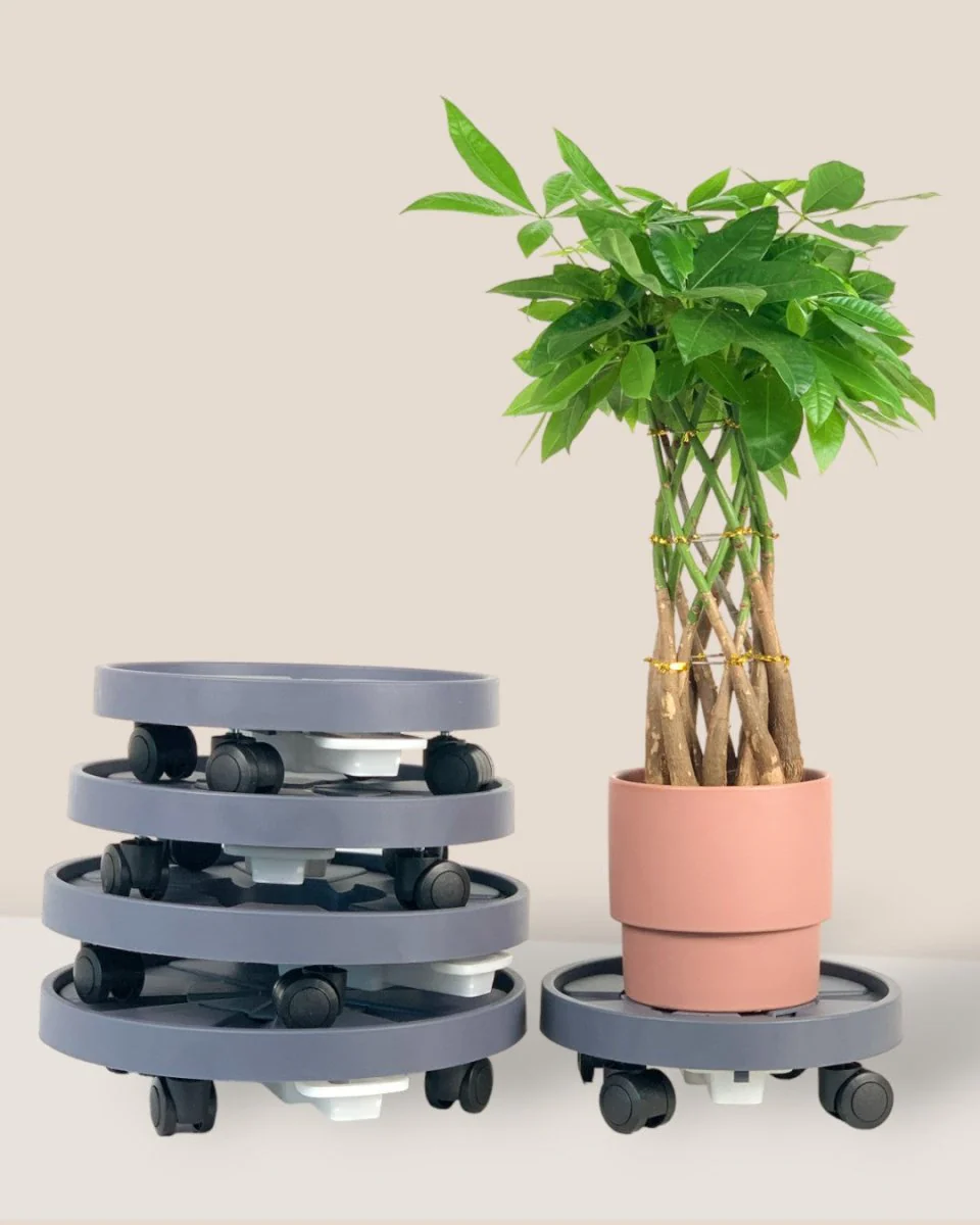 Plant Tray Trolley (Gray) - Image 6