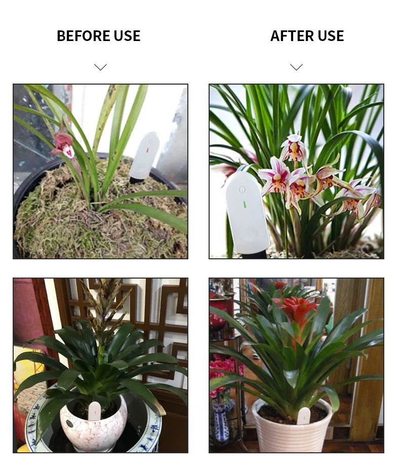 PlantPulse Watering Meter - Image 13