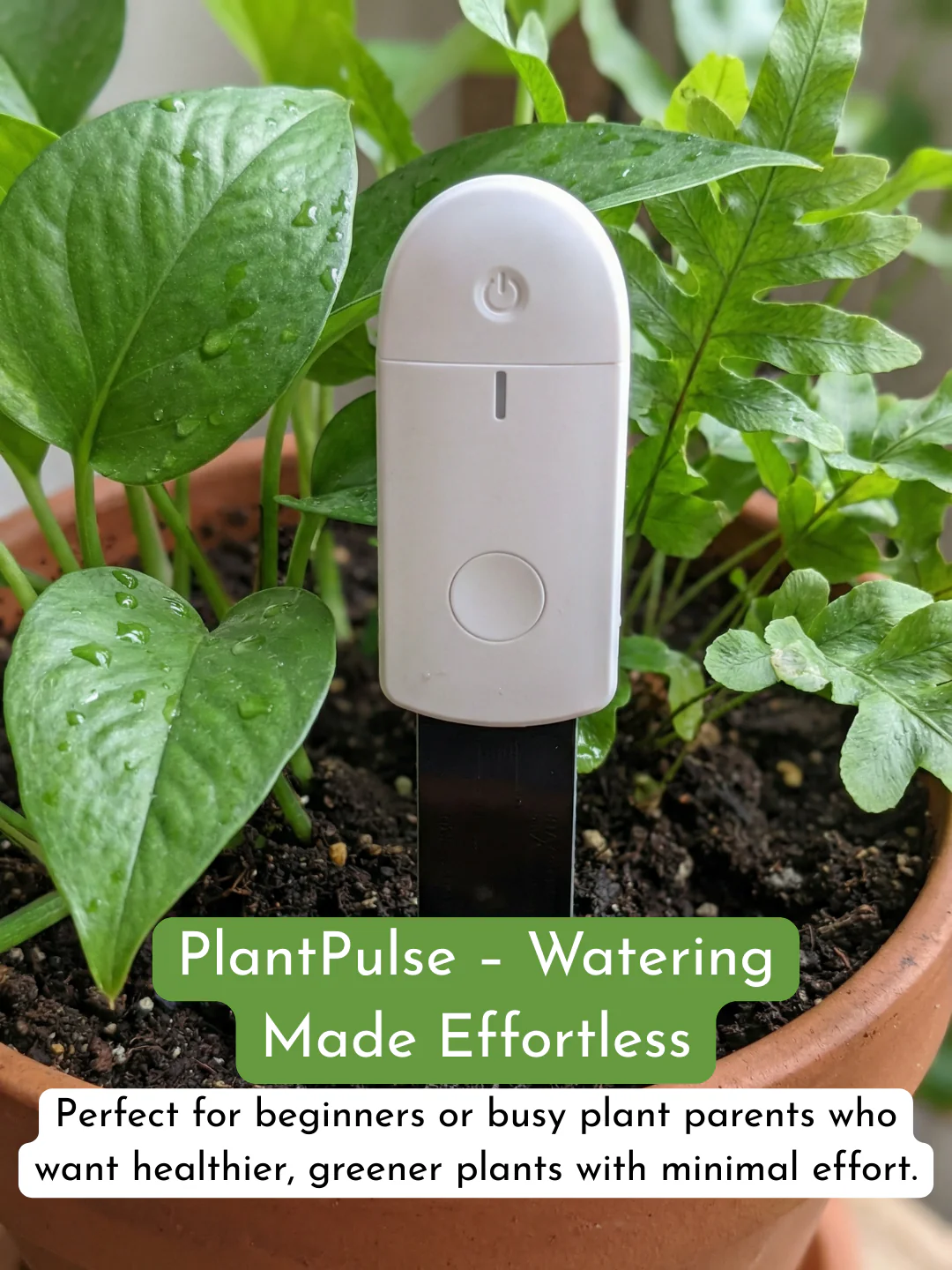 PlantPulse Watering Meter - Image 3