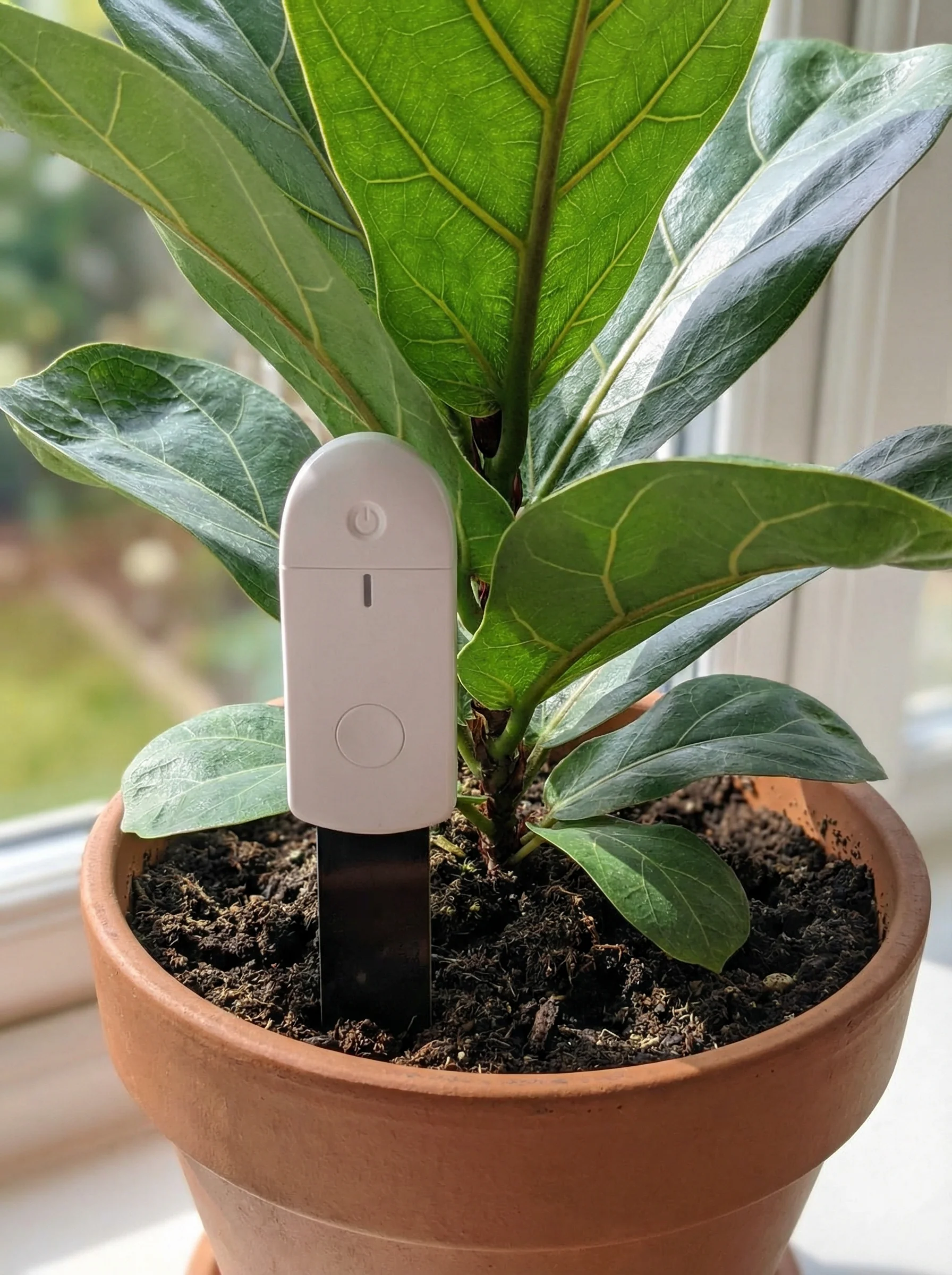 PlantPulse Watering Meter - Image 5