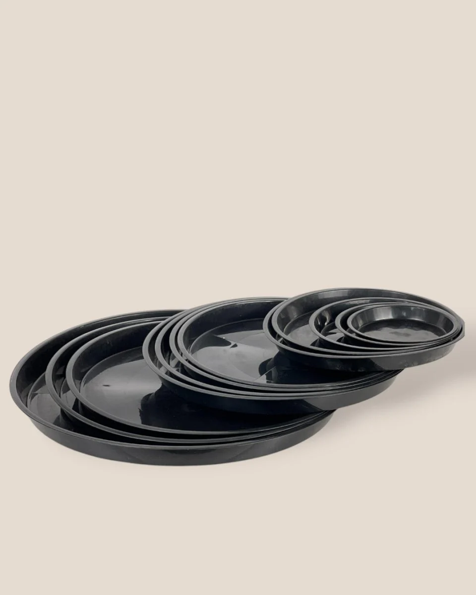 Plastic Tray (Black)