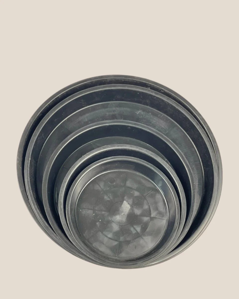Plastic Tray (Black) - Image 3