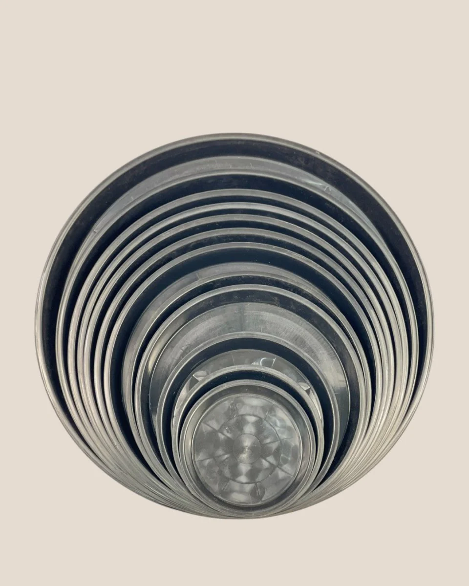 Plastic Tray (Black) - Image 6