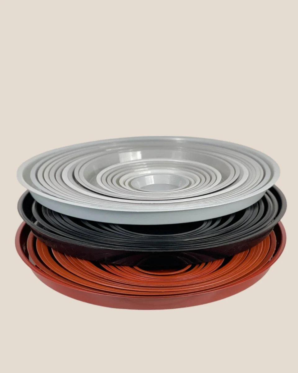 Plastic Tray (Brown) - Image 2