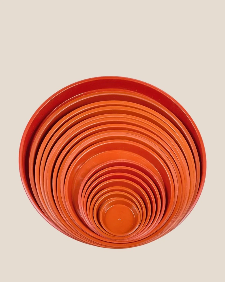 Plastic Tray (Brown) - Image 5