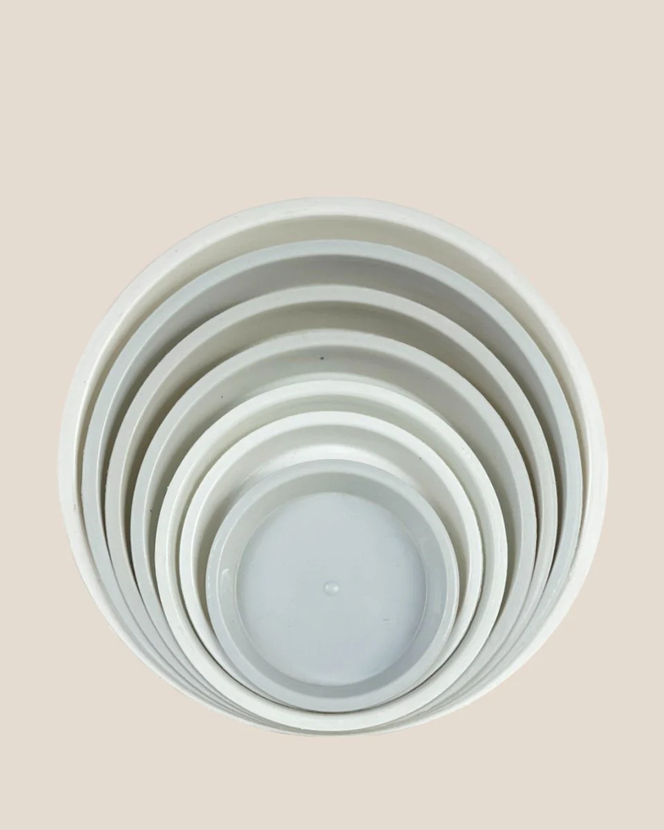 Plastic Tray (White) - Image 2