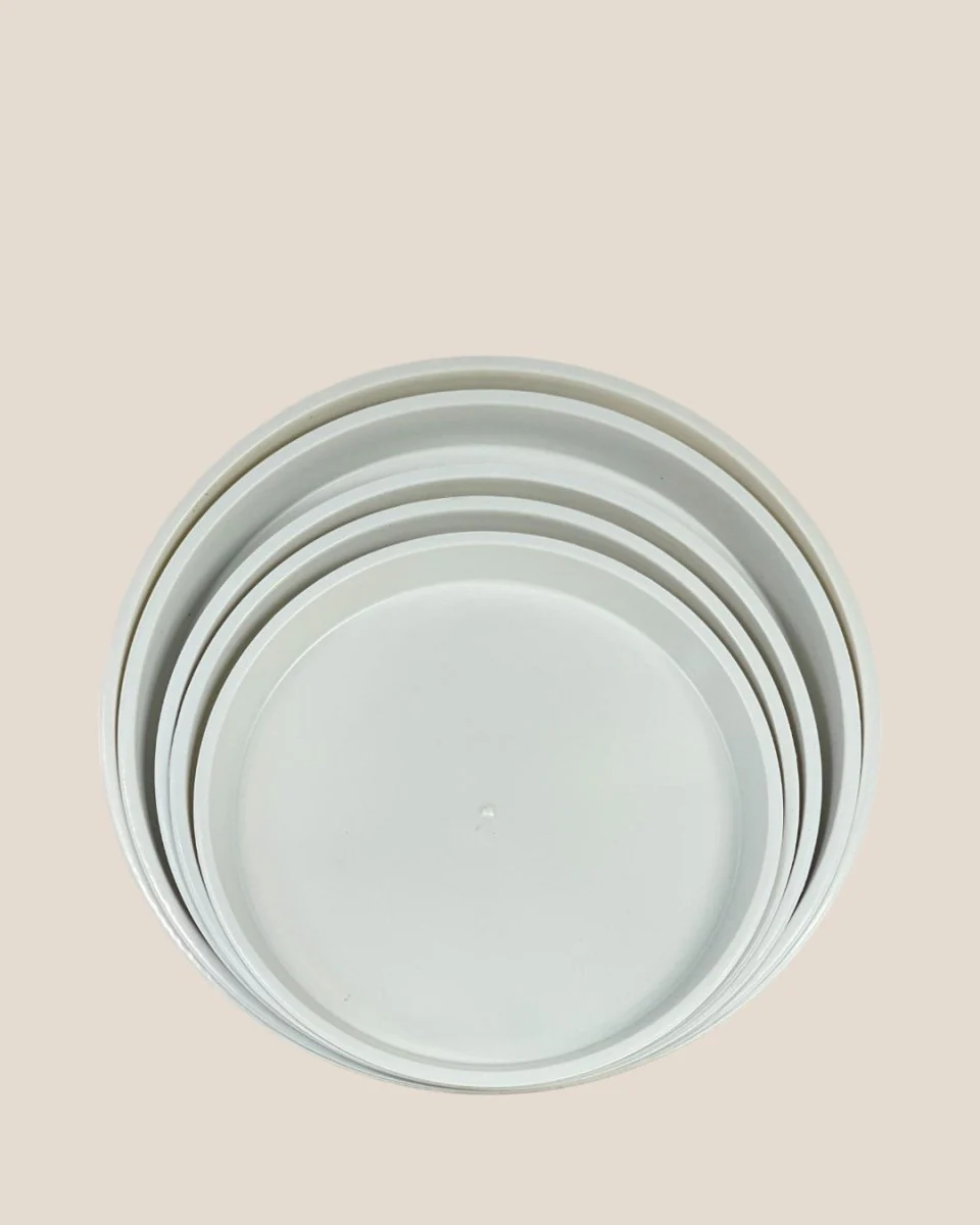 Plastic Tray (White) - Image 5