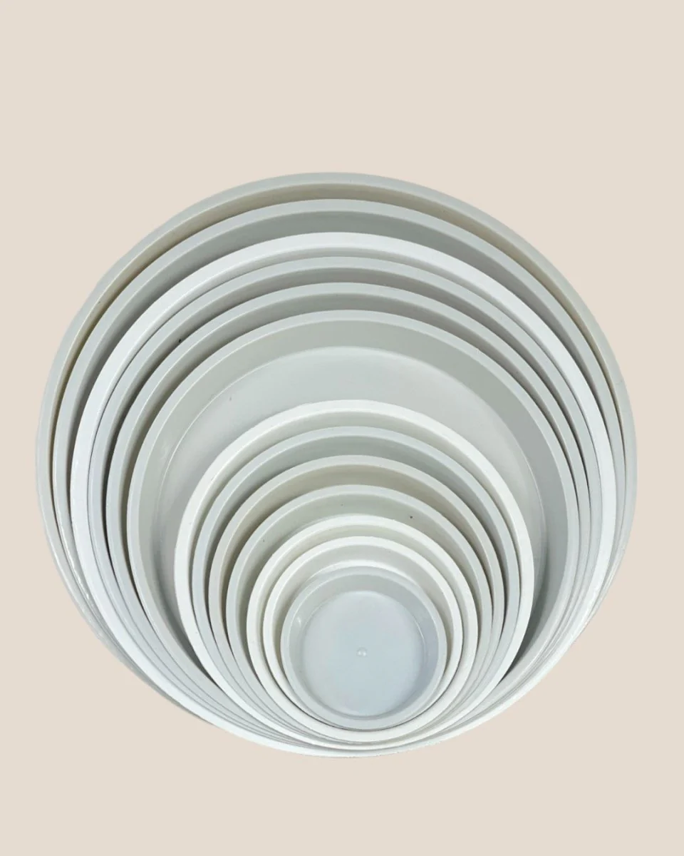 Plastic Tray (White) - Image 6