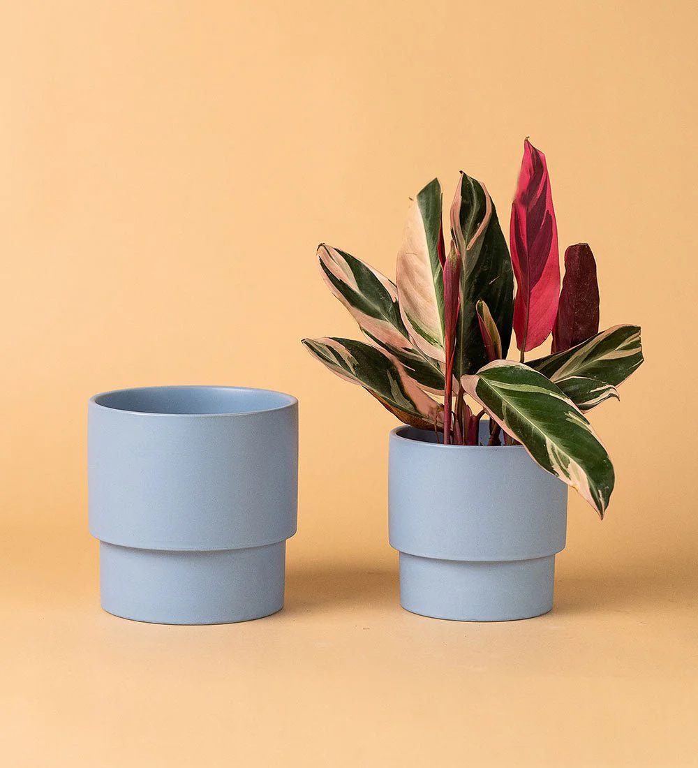 Plinth Pots - Image 3