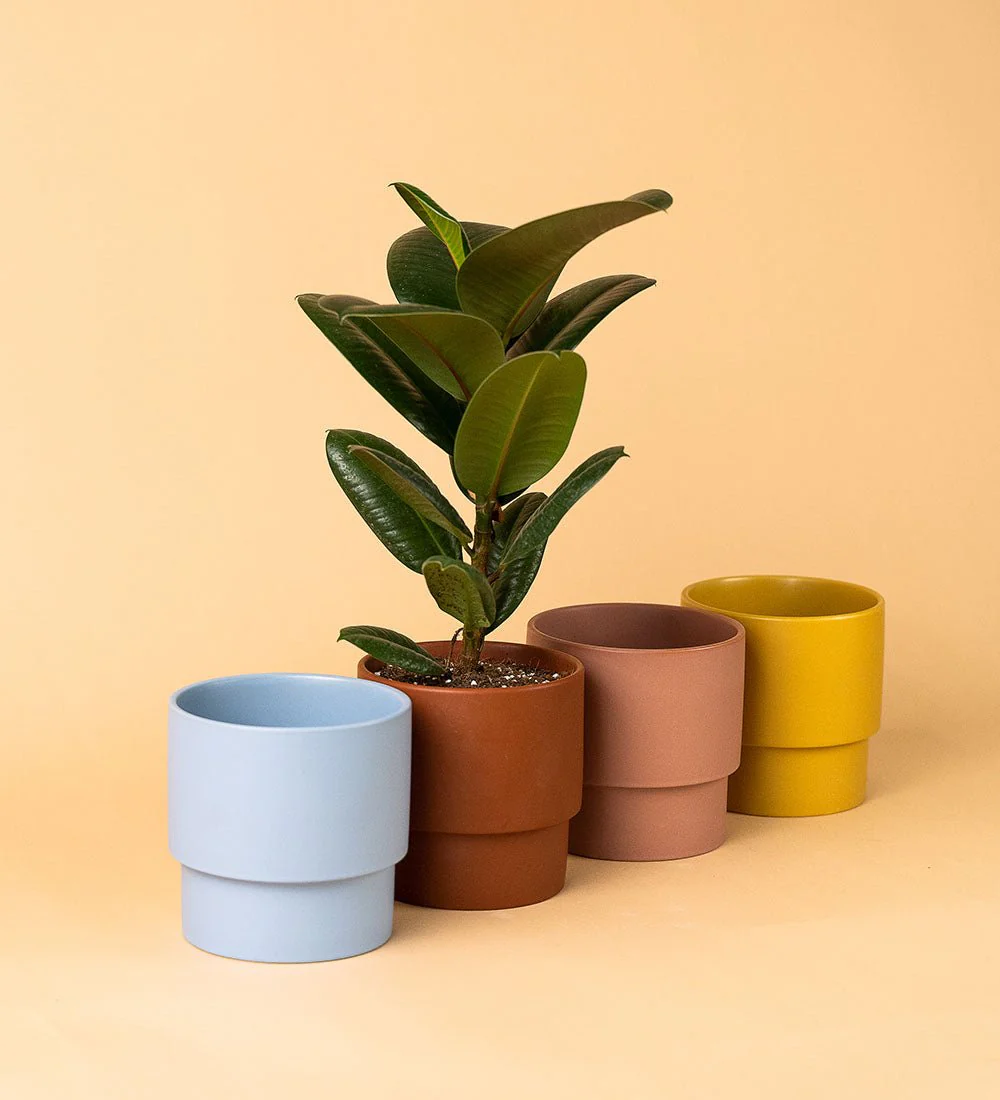 Plinth Pots - Image 4