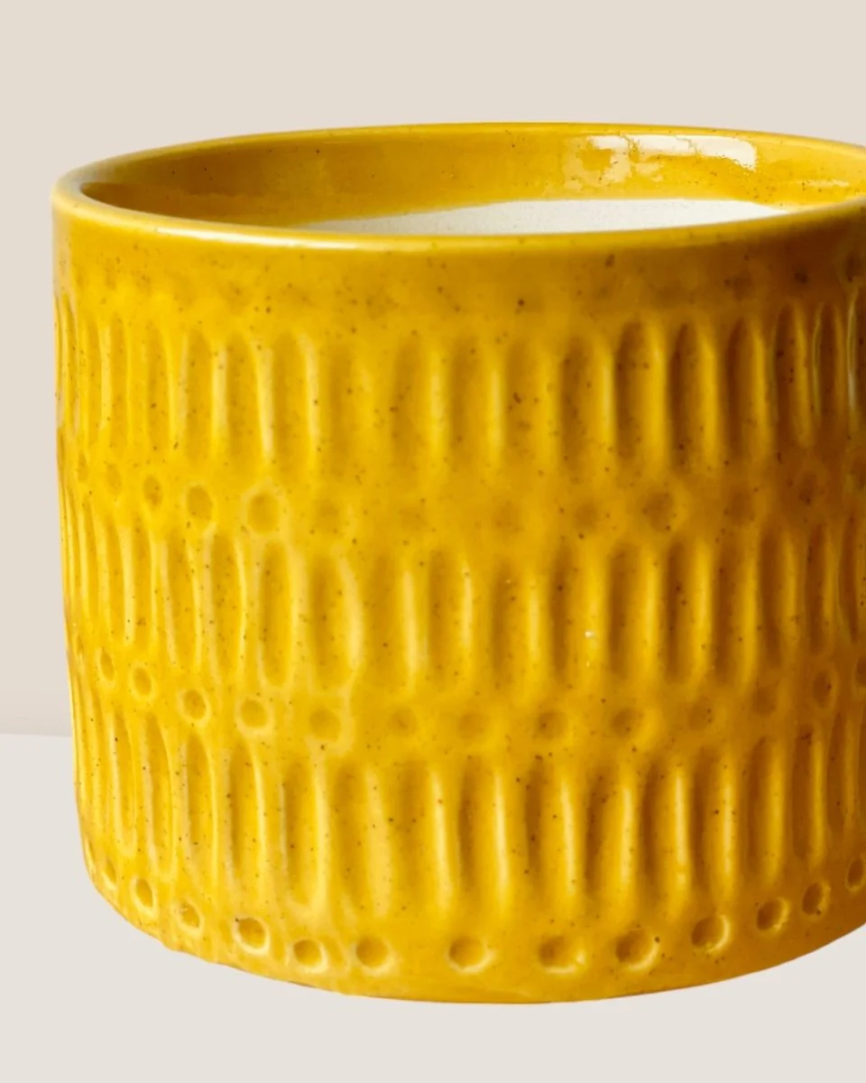 Pocky Planter - Image 3