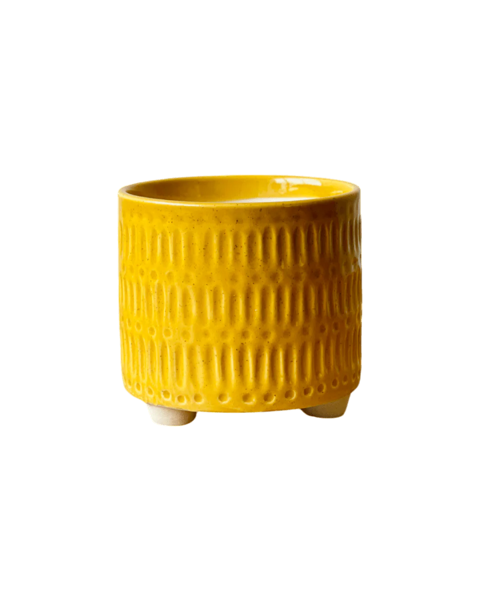 Pocky Planter - Image 5