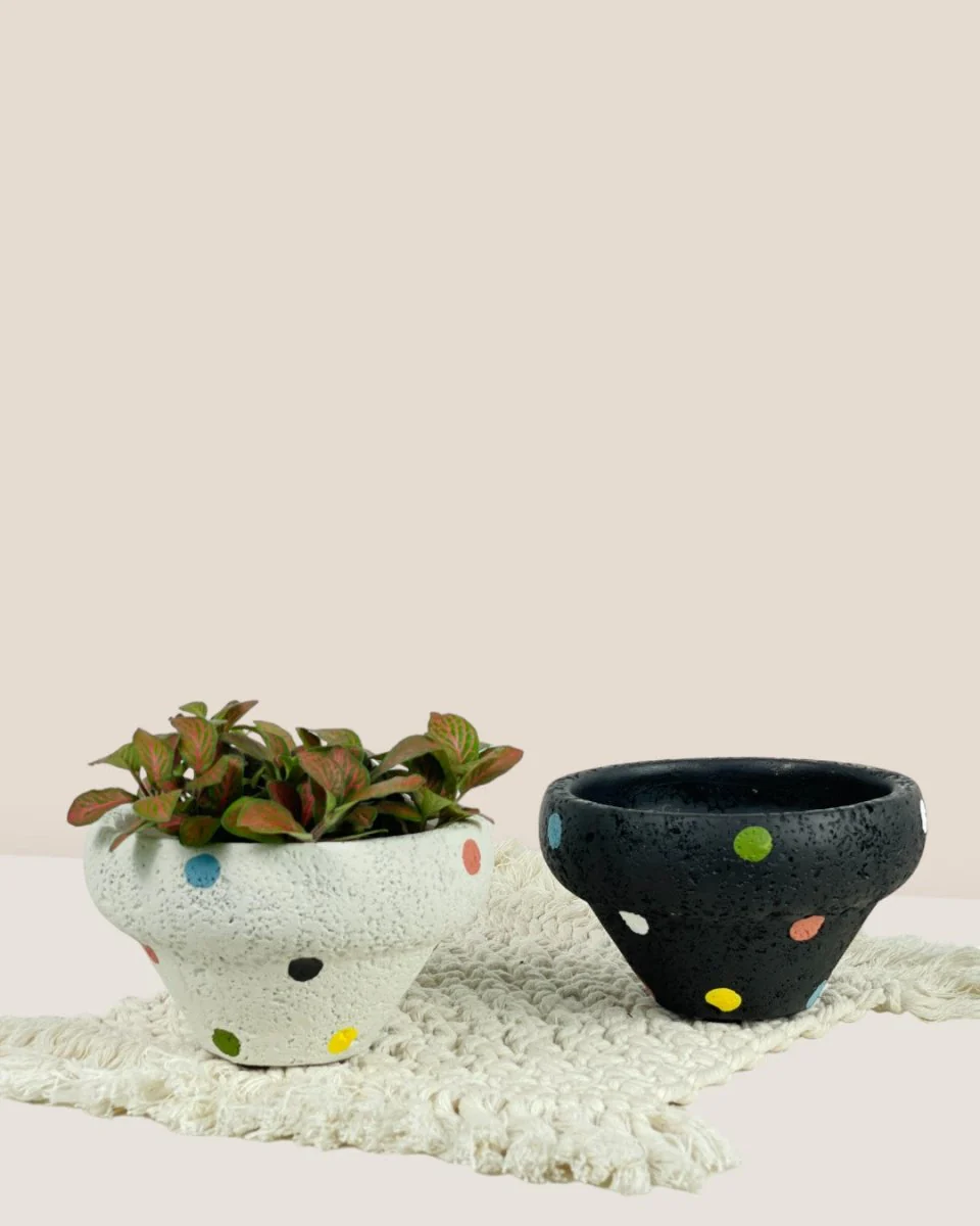 Polka Pots - Image 11