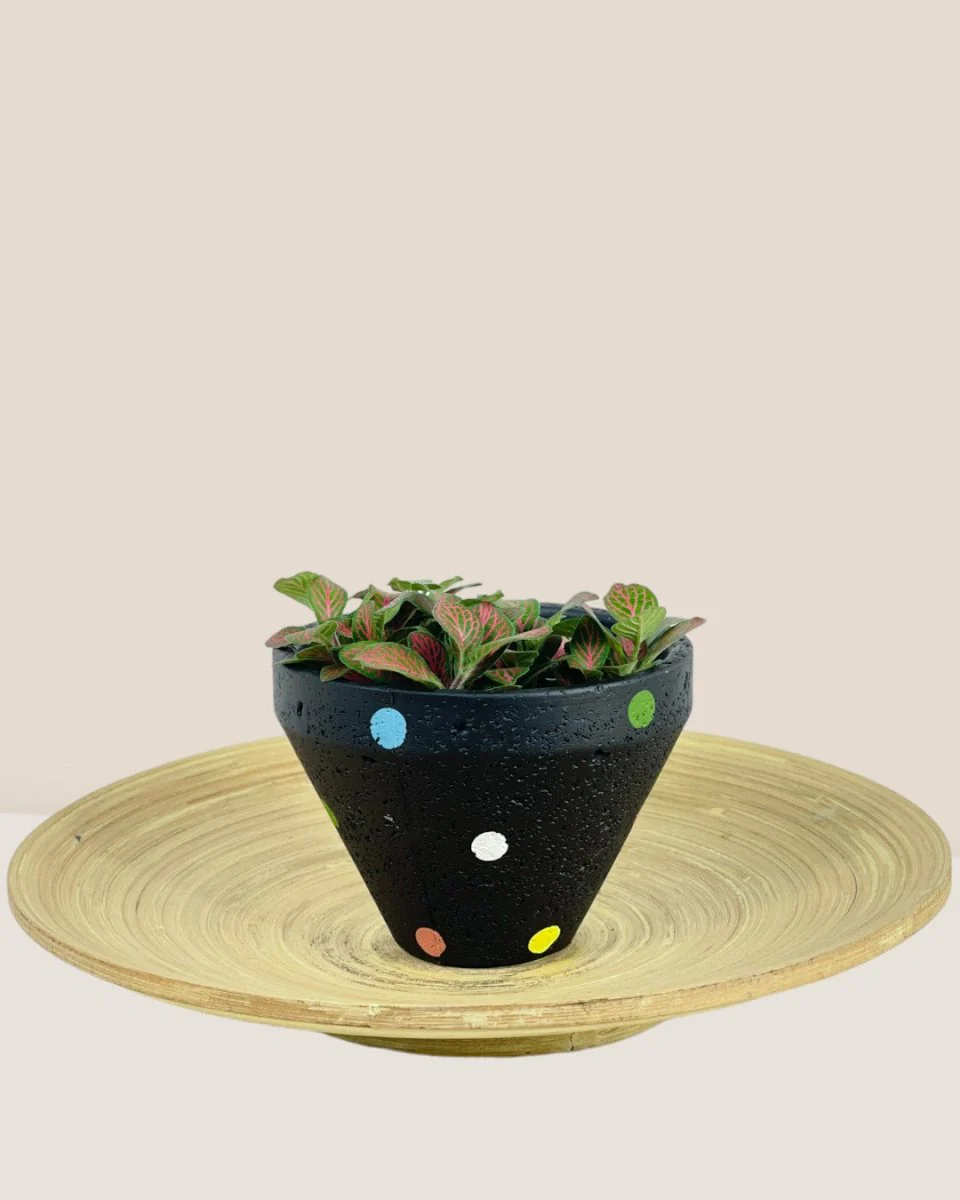 Polka Pots - Image 9