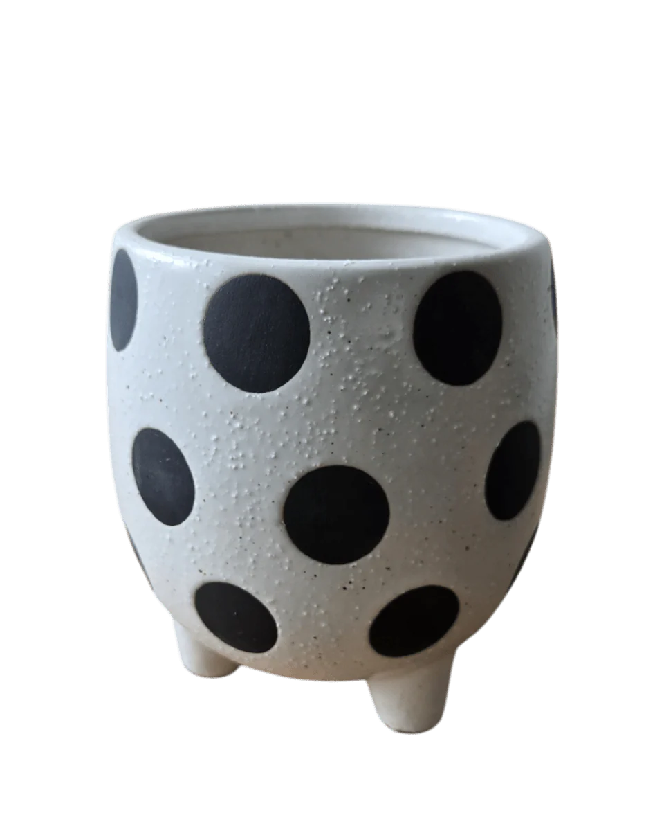 Polka Pop Ceramic Pot - Image 2