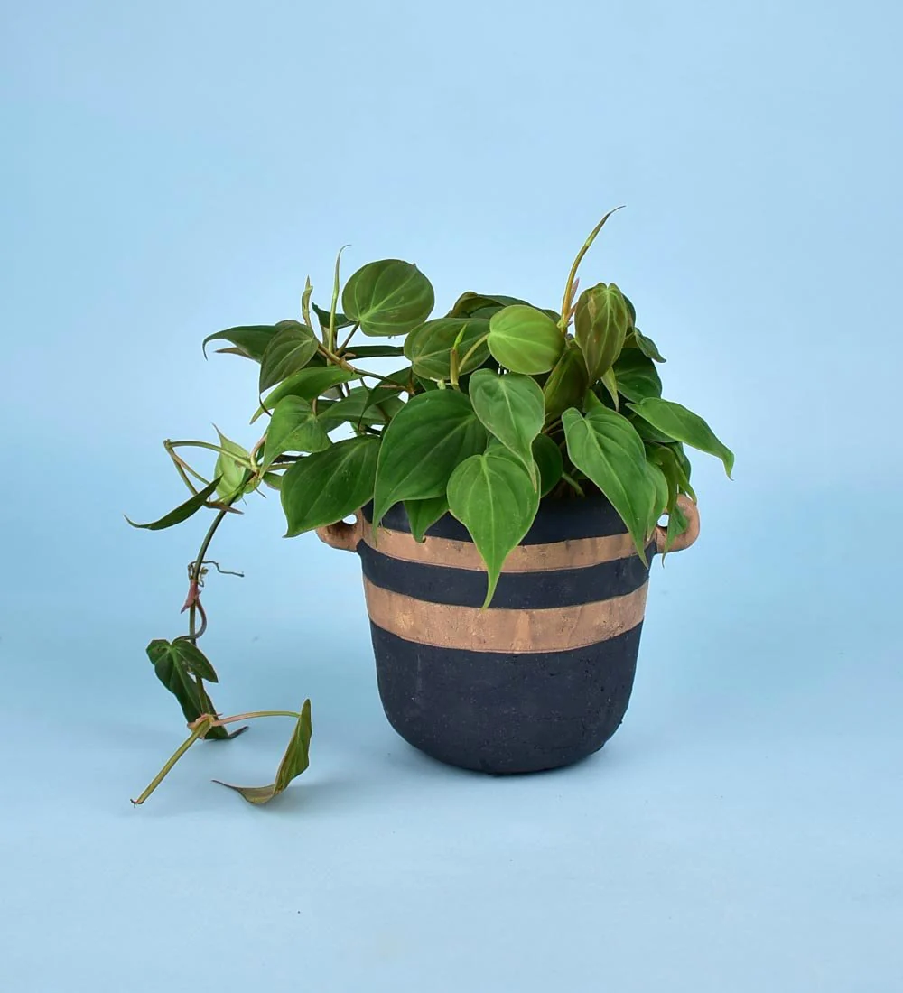 Portafino Planter - Image 8