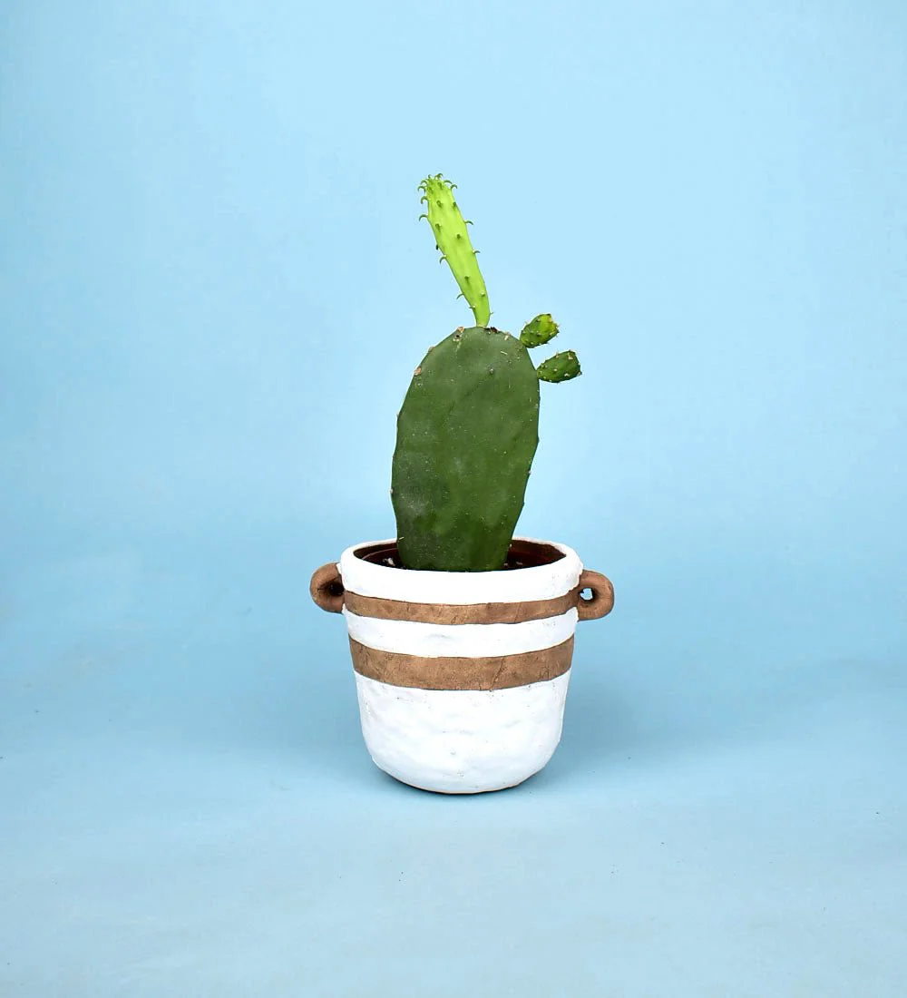 Portafino Planter - Image 9