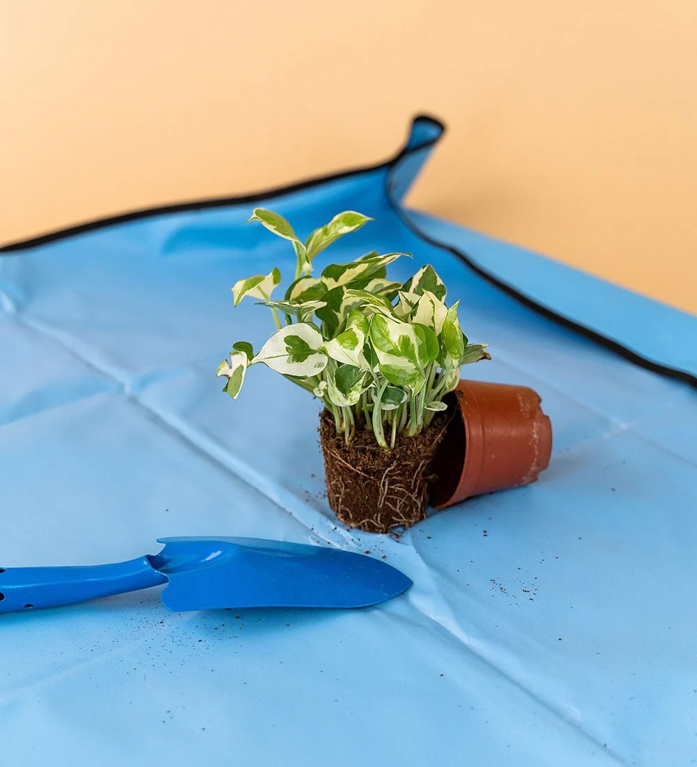 Potting Mats - Image 8