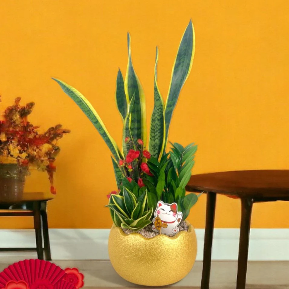 Prosperity Plant Arrangement in Golden Egg Pot (Large) - Image 3