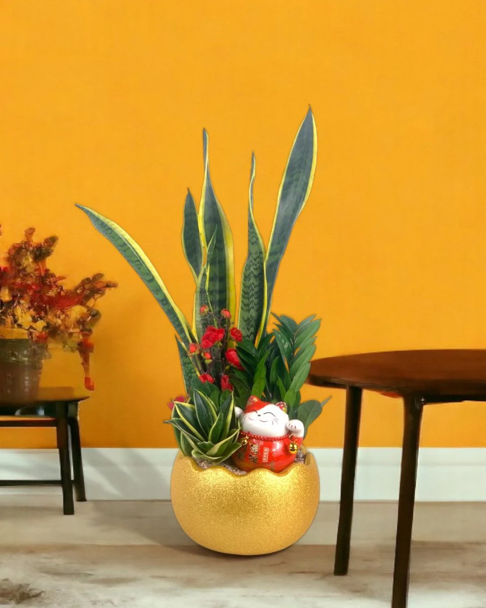 Prosperity Plant Arrangement in Golden Egg Pot (Large) - Image 4