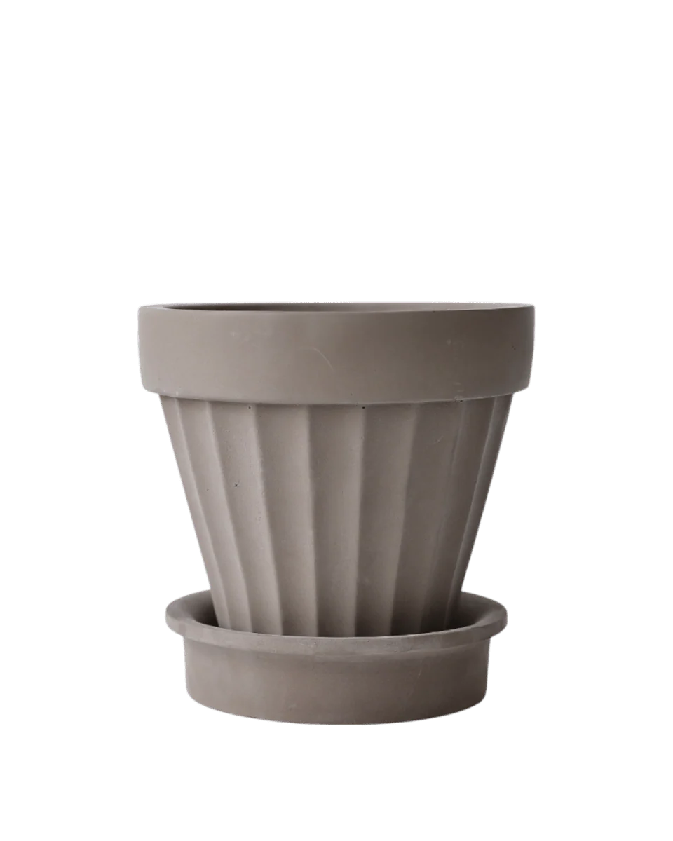 Rib Planter - Image 5