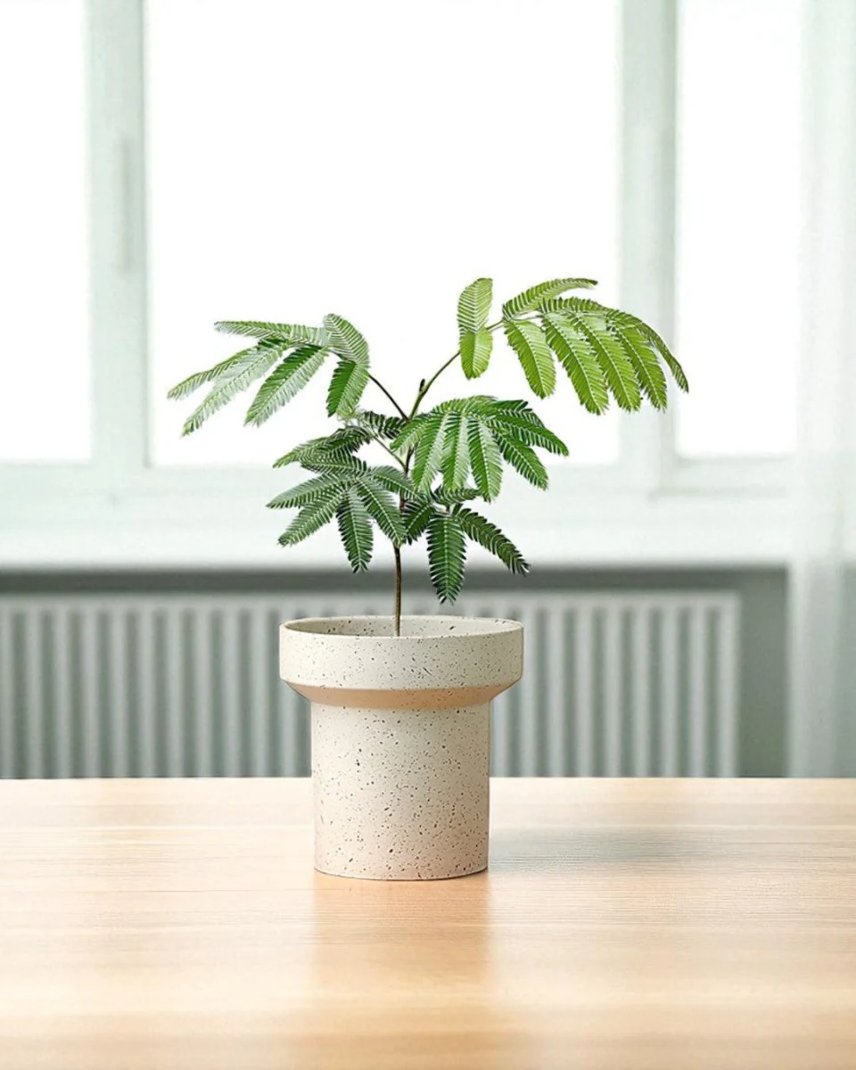 Ripple Cylinder Planter - Image 2