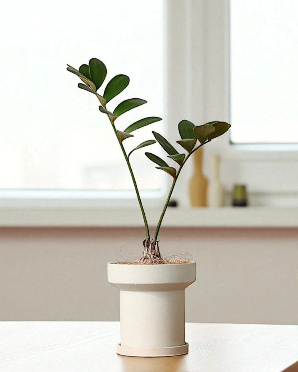 Ripple Cylinder Planter - Image 3
