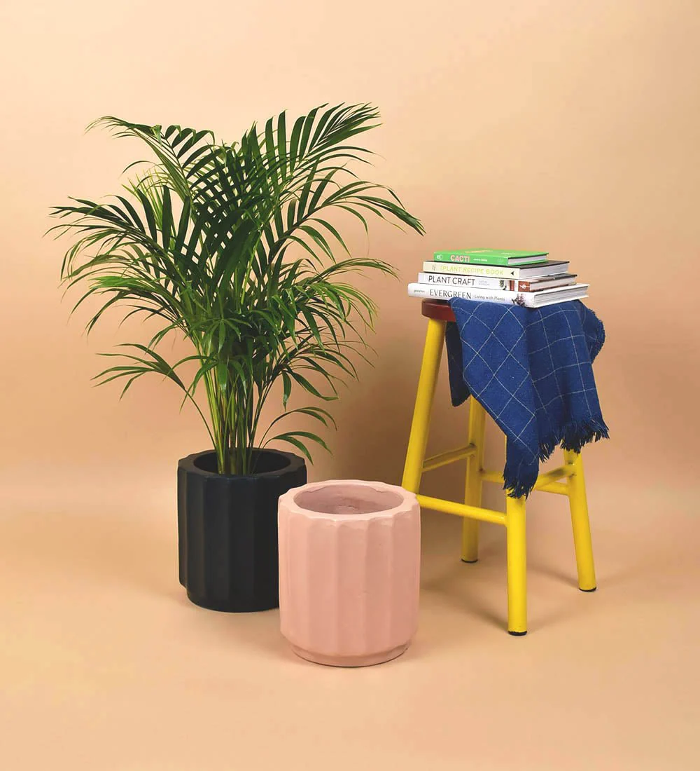 Roman Planters - Image 3
