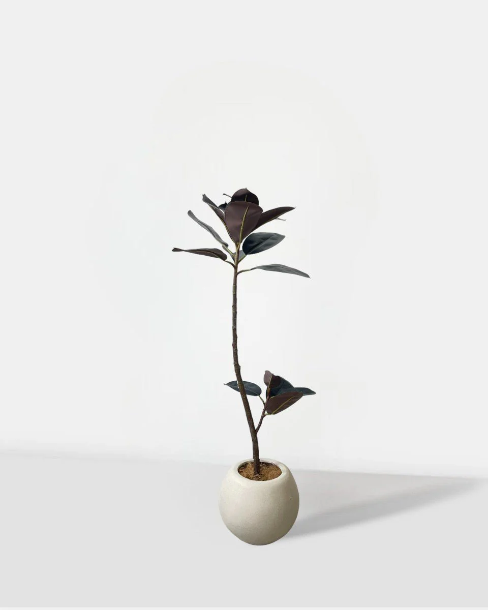 Rubber Tree 1.2m (Life-like Artificial) - Image 7